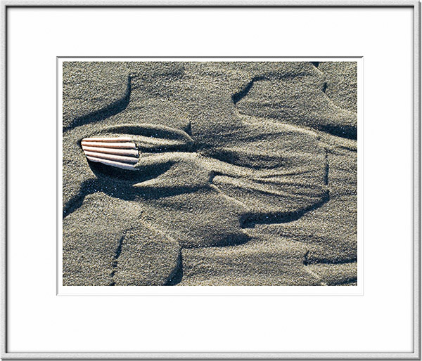 Image ID: 100-161-3 : Shell and Sand 